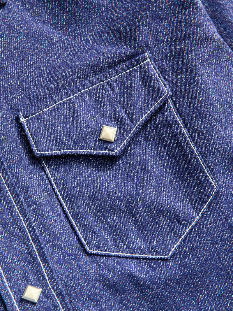 Jaspe Western Pearlsnap Shirt in Purple