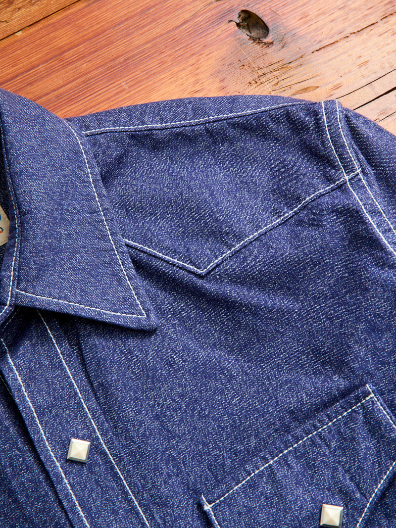 Jaspe Western Pearlsnap Shirt in Purple