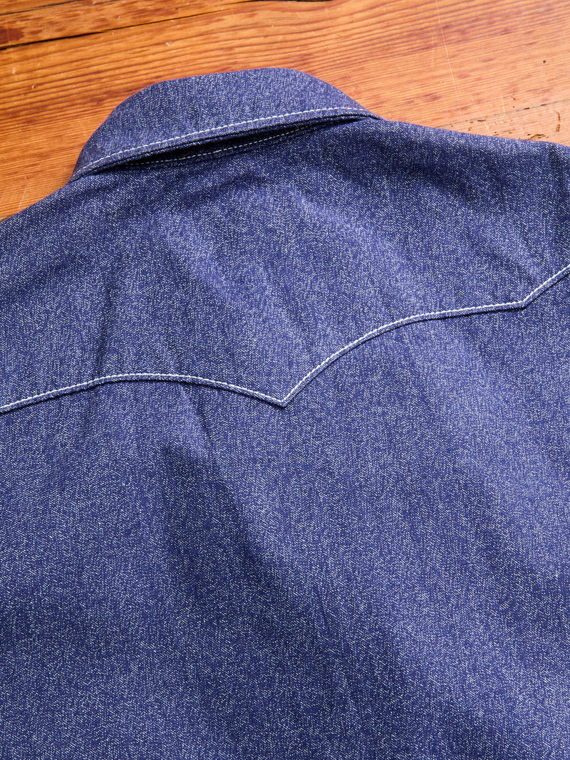 Jaspe Western Pearlsnap Shirt in Purple