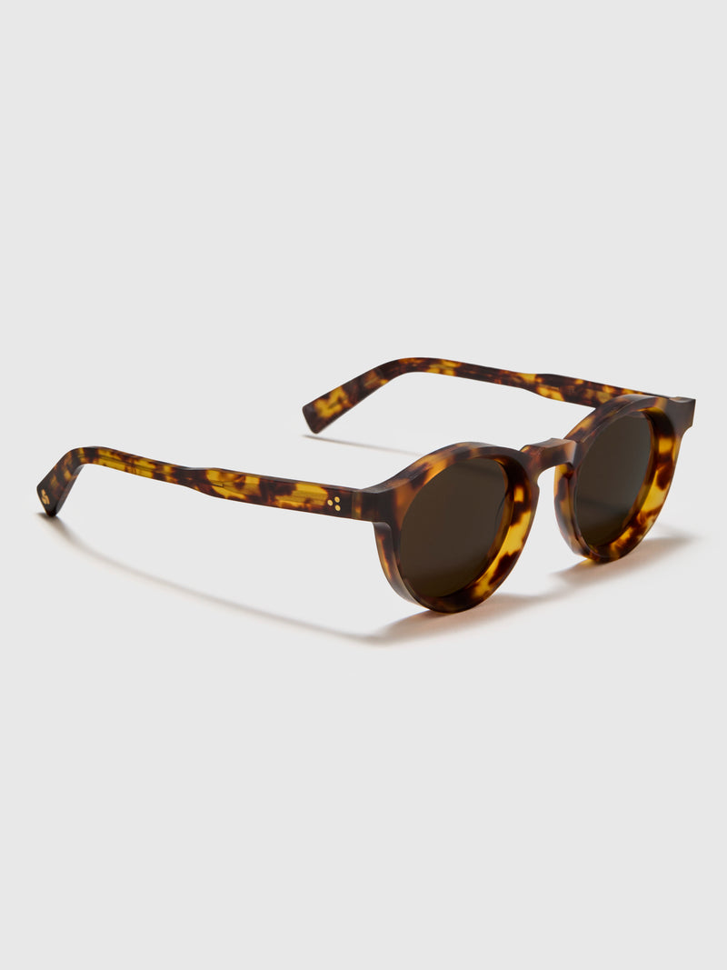 SP-01 "P3 Round" Sunglasses in Tortoise/Brown