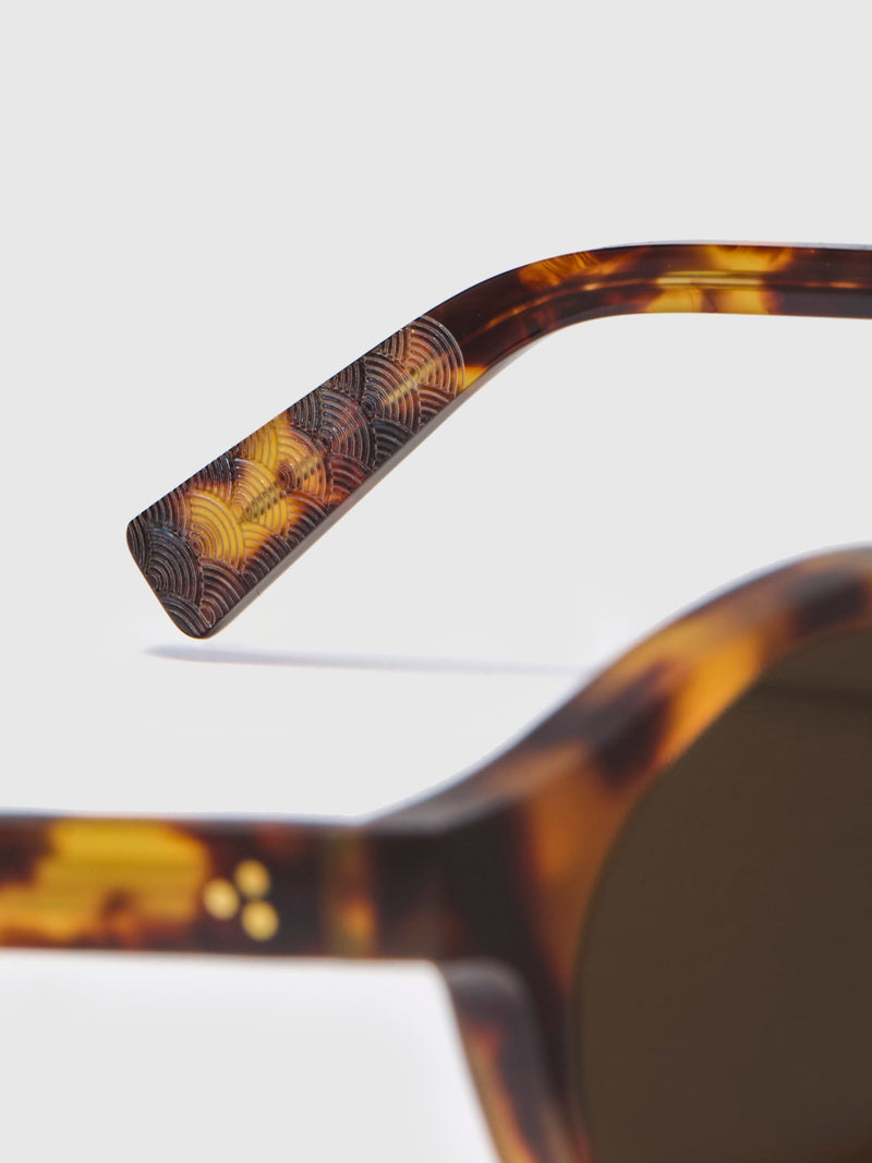 SP-01 "P3 Round" Sunglasses in Tortoise/Brown