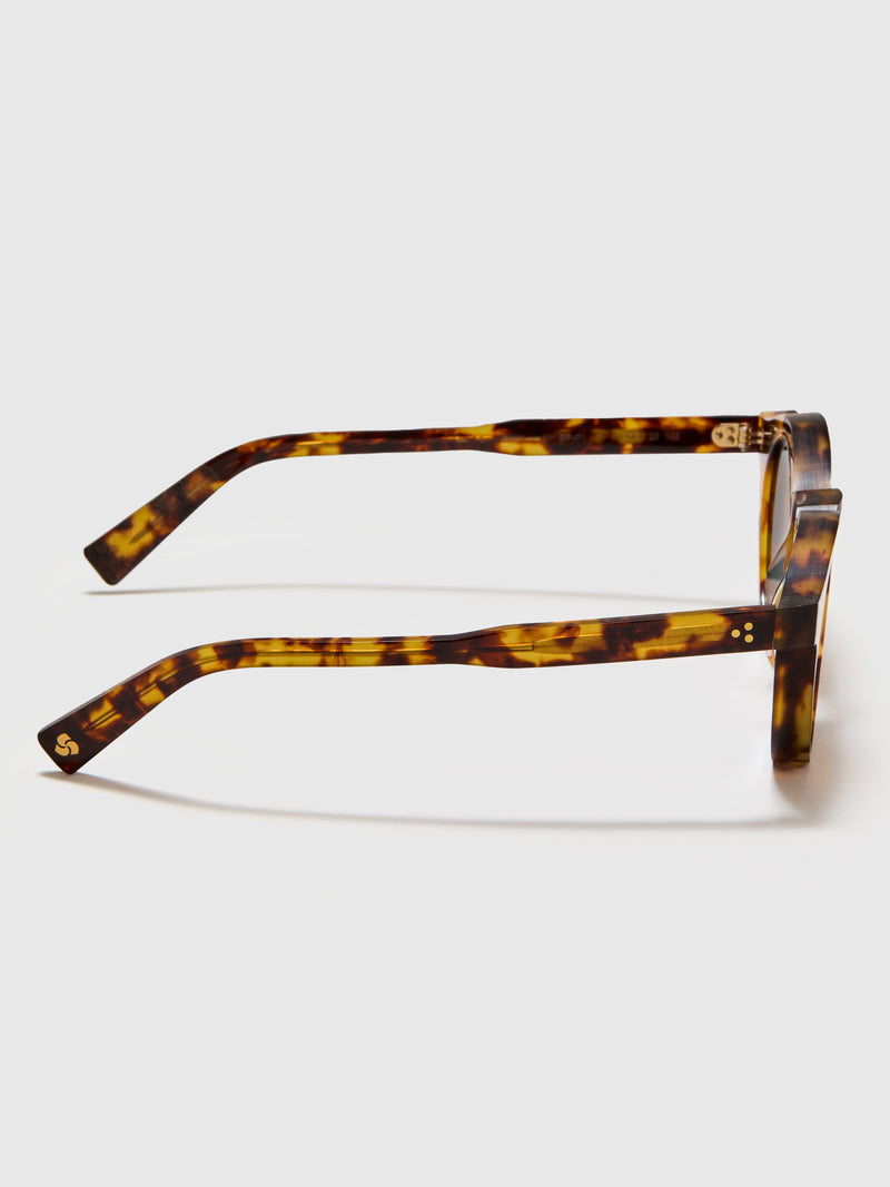 SP-01 "P3 Round" Sunglasses in Tortoise/Brown