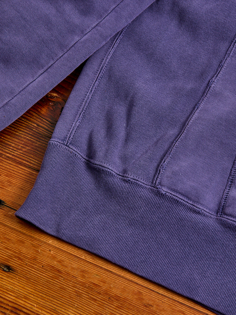 Special Finish Zip Hoodie in Purple Navy