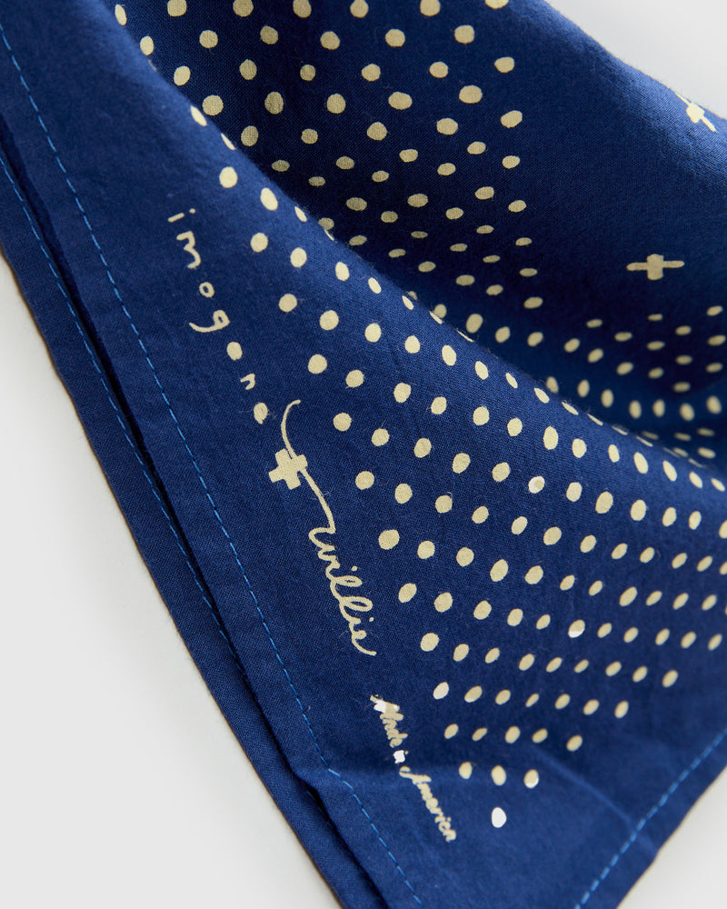 Vintage Bandana in Blue