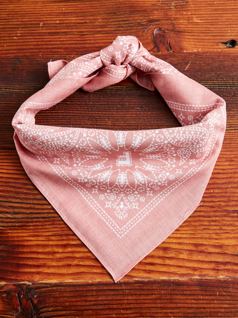 Paisley Bandana in Light Pink